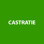 Castratie
